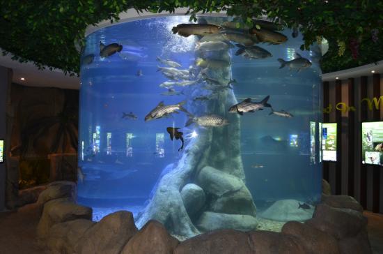 The Shore Oceanarium